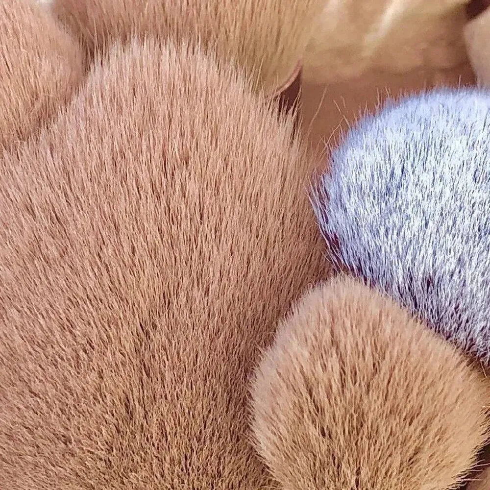 13 PCS Makeup Brushes Set EyeShadow Foundation Cosmetic Brush Blush Tool Bag