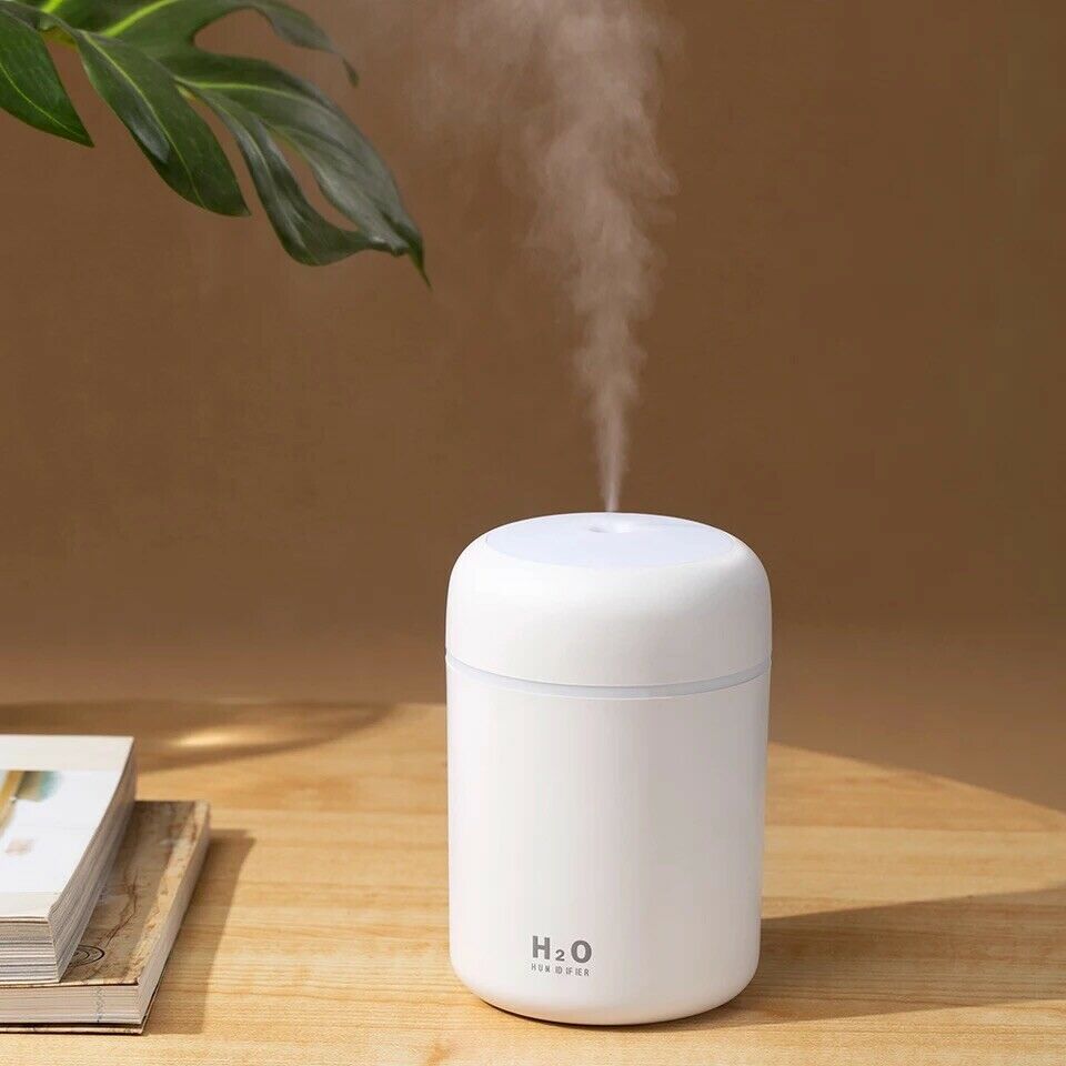 Portable H2O Ultrasonic Air Humidifier with Romantic Light