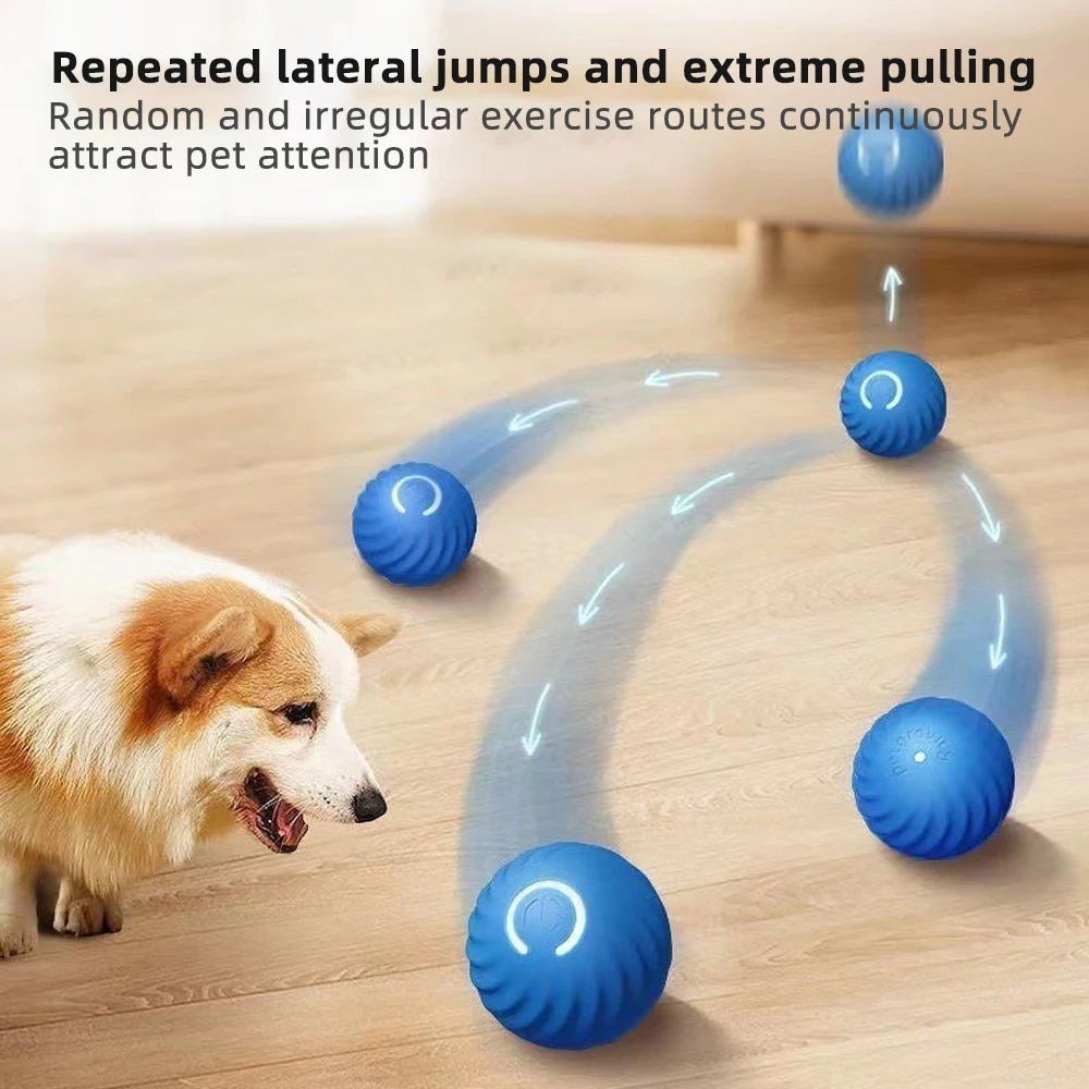 Active Rolling Ball Anti-Anxiety Automatic Moving Ball