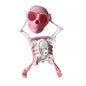 Dancing and Swinging 3D Skull Toy