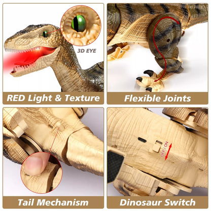 Remote Control Walking Robot Dinosaur Toy