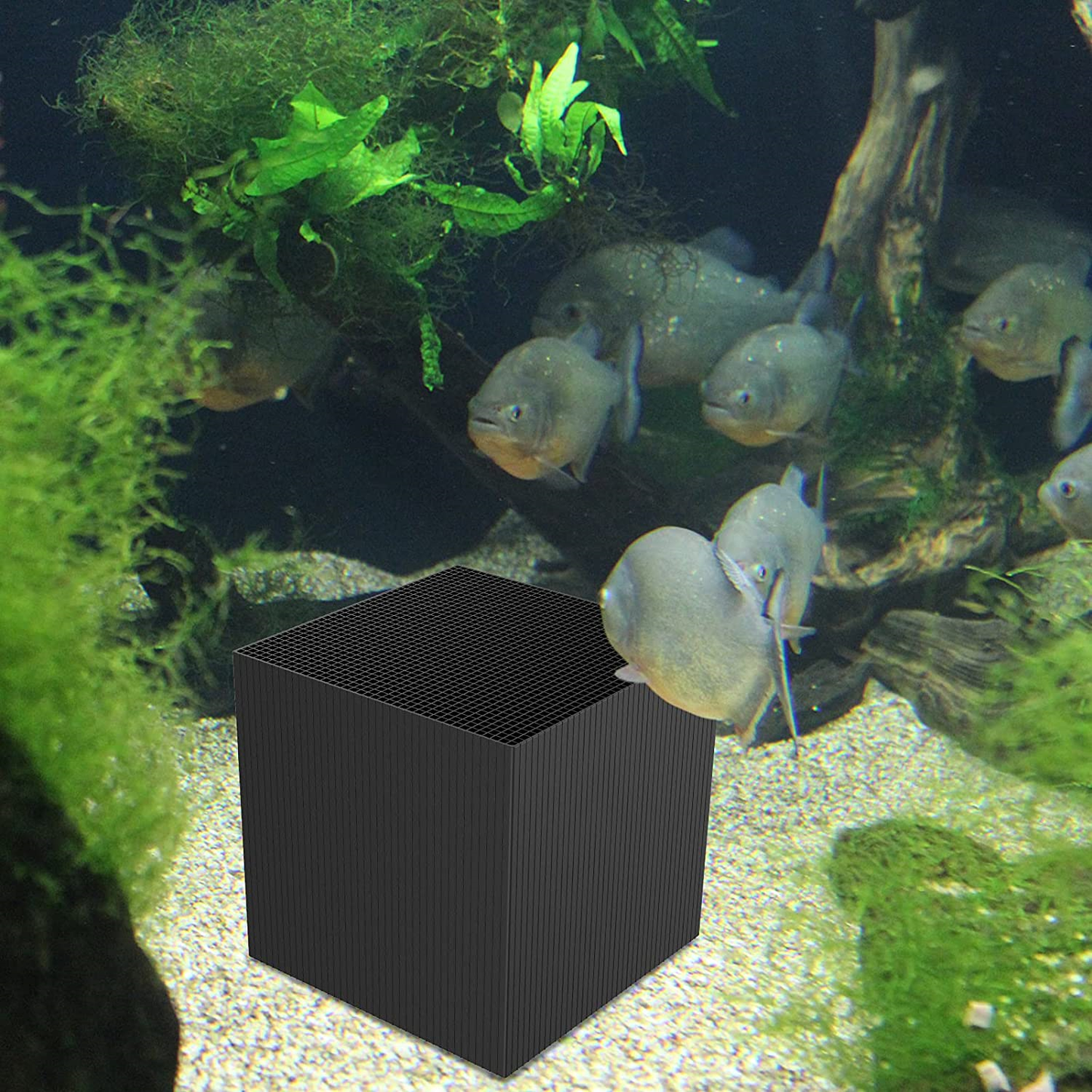 Eco-Aquarium Wasserreiniger Würfel Wasser Clean Filter Aktivkohle Werkzeugblock